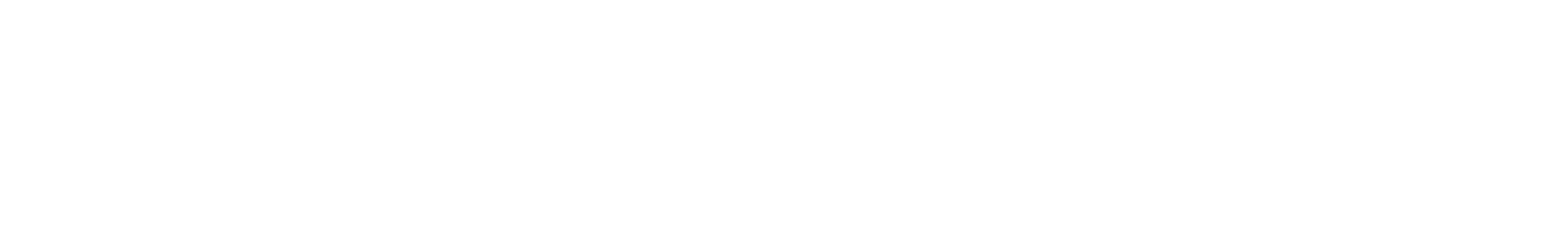 Intrepid Digital