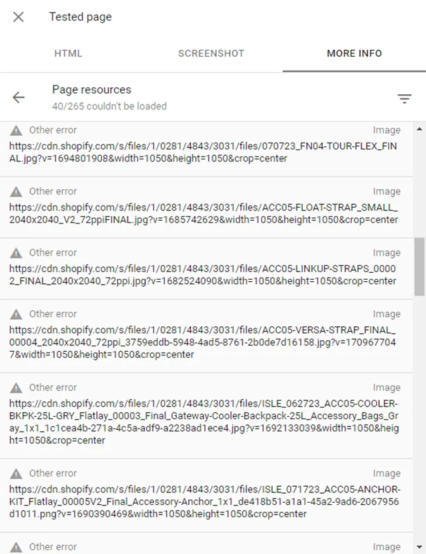 Rich Results Test page resources list showing image files from cdn.shopify.com marked Other error