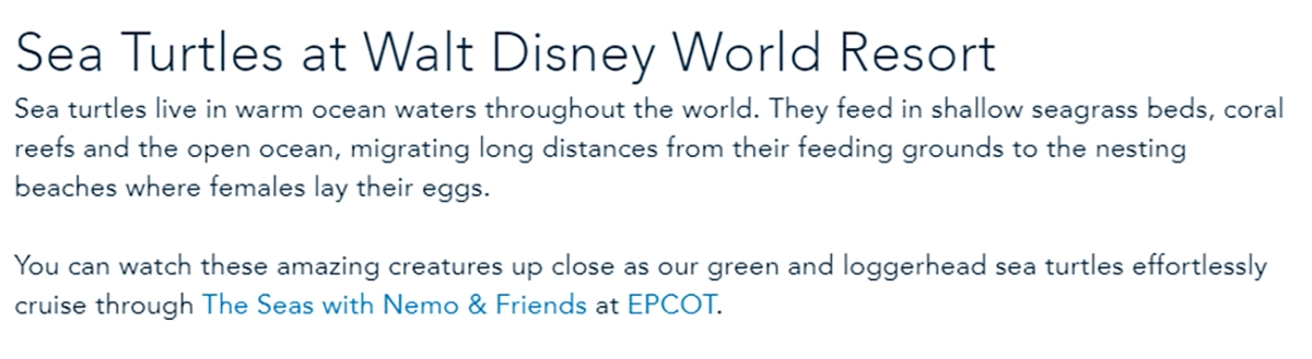 Disney World page about sea turtles with the branded anchor text The Seas with Nemo and Friends at EPCOT linked