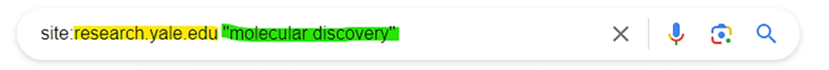 Google search box with the narrower query site:research.yale.edu "molecular discovery"