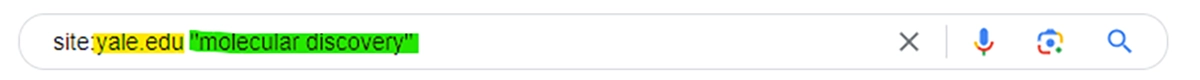 Google search box with the query site:yale.edu "molecular discovery"