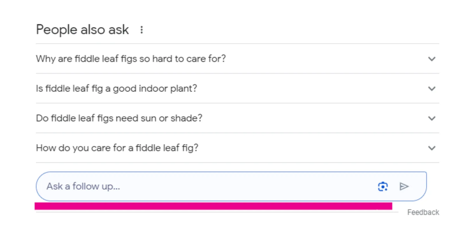 Google People also ask box about fiddle leaf figs with a new Ask a follow up field highlighted