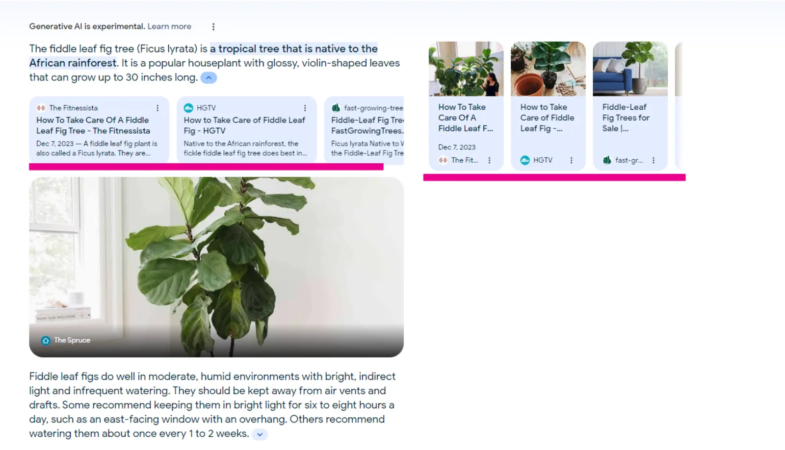 Google AI Overview for fiddle leaf fig trees with source links highlighted below the answer and in the side panel