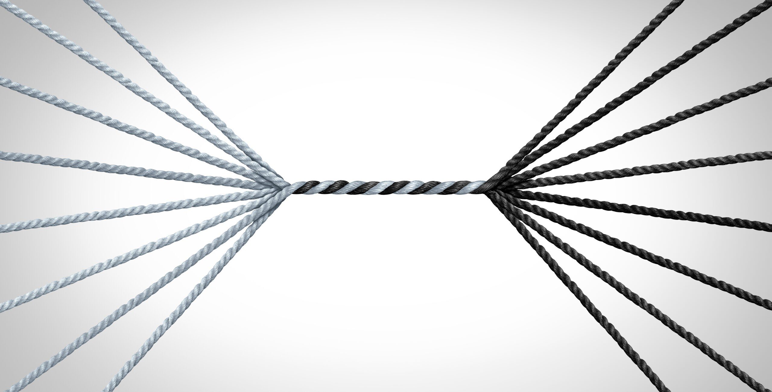 Why SEO and Web Development Teams Should Work Closely Together